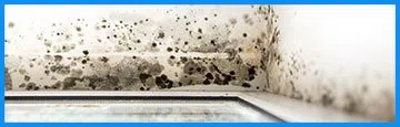 logo-image - banner-mold-ser-wgr-40