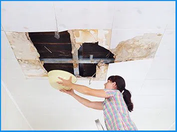Key Biscayne Restoration Expert Key Biscayne, FL 786-310-0105 Key Biscayne Restoration Expert Key Biscayne, FL 786-310-0105 - city-wgr-40