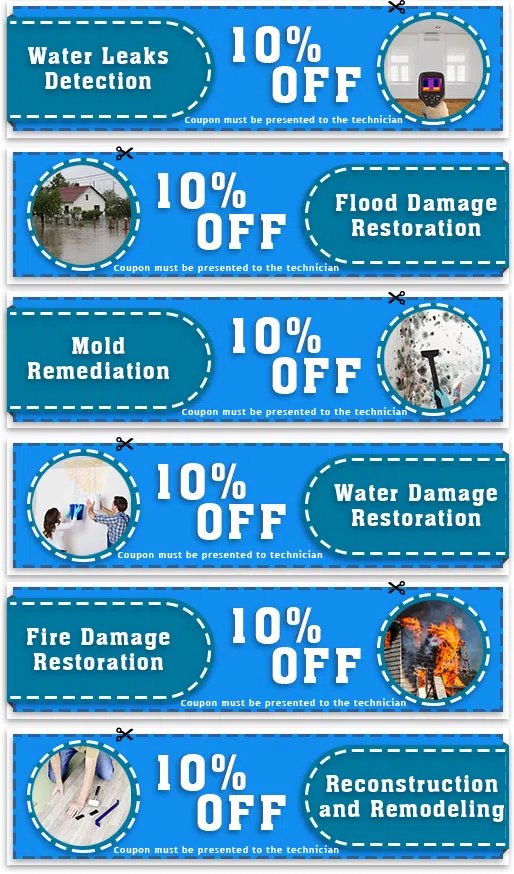 Key Biscayne Restoration Expert Key Biscayne, FL 786-310-0105 Key Biscayne Restoration Expert Key Biscayne, FL 786-310-0105 - cpn-page-wgr-40